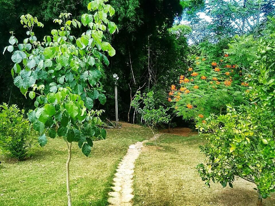 Pousada Orquideas Da Canastra Vargem Bonita Luaran gambar